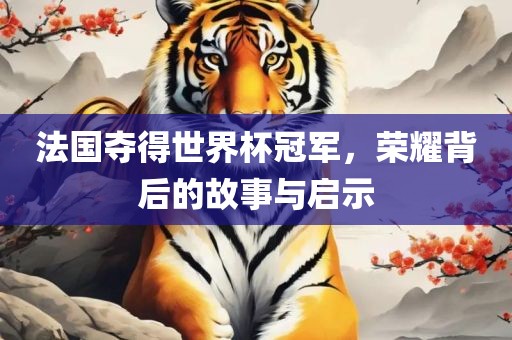 法国夺得世界杯冠军，荣耀背后的故事与启示