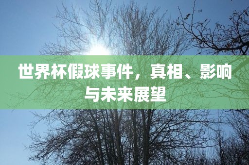 世界杯假球事件，真相、影响与未来展望