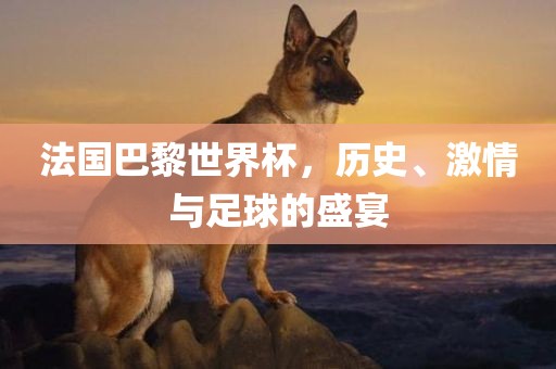 法国巴黎世界杯，历史、激情与足球的盛宴