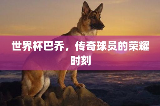 世界杯巴乔，传奇球员的荣耀时刻