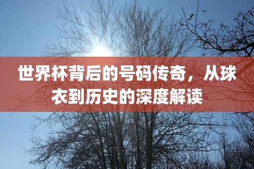 世界杯背后的号码传奇，从球衣到历史的深度解读洛阳市法福文化传播有限公司