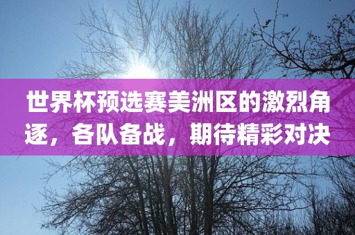 世界杯预选赛美洲区的激烈角逐，各洛阳市法福文化传播有限公司队备战，期待精彩对决