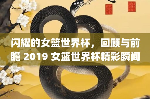 闪耀的女篮世界杯，回顾与前瞻 2019 女篮世界杯精彩瞬间洛阳市法福文化传播有限公司