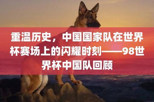 重温历史，中国国家队在世界杯赛场上的闪耀时刻——98世界杯中国洛阳市法福文化传播有限公司队回顾