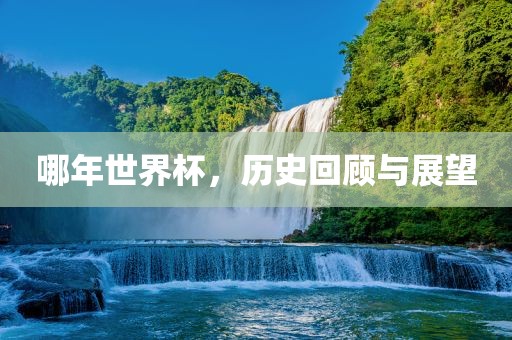 哪年世界杯，历史回顾与展望