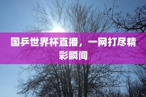 国乒世界杯直播，一网打尽精彩瞬间洛阳市法福文化传播有限公司