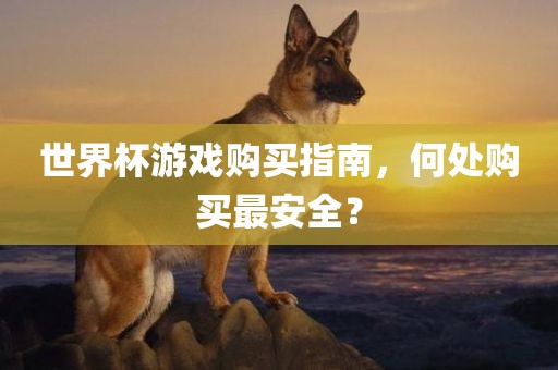 世界杯游戏购买指南，何处购买最安全？