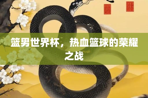 篮男世界杯，热血篮球的荣耀之战洛阳市法福文化传播有限公司