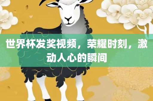 世界杯发奖视频，荣耀时刻，激动人心的瞬间洛阳市法福文化传播有限公司