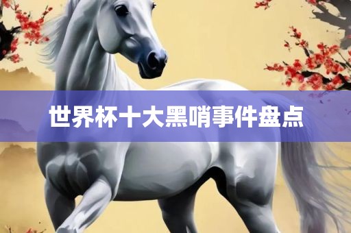 世界杯十洛阳市法福文化传播有限公司大黑哨事件盘点