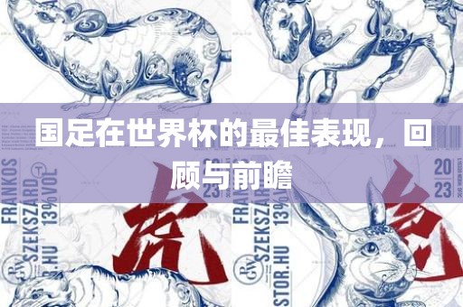 国足在世界杯的最佳表现，回顾与前瞻洛阳市法福文化传播有限公司