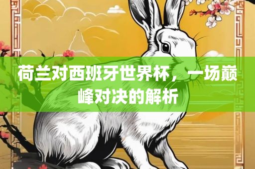 荷兰对西班牙世界杯，一场巅峰对决的解析洛阳市法福文化传播有限公司