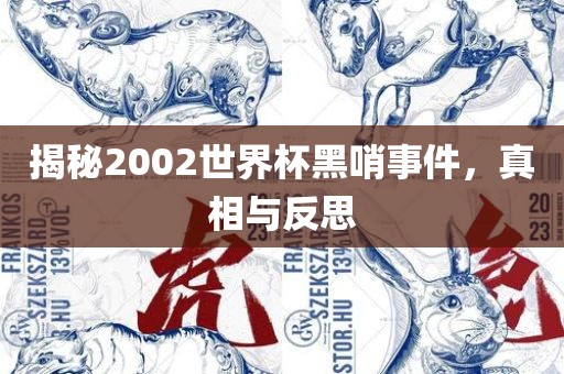 揭秘2002世界杯黑哨事件，真相与反思
