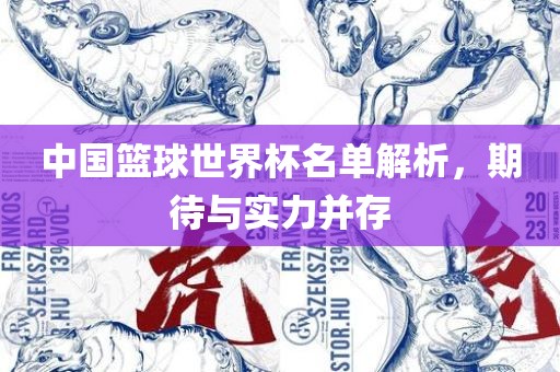 中国篮球世界杯名单解析，期待与实力并存
