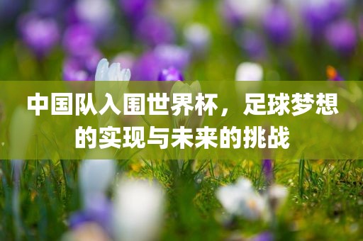 中国队入围世界杯，足球梦想的实现与未来的挑战