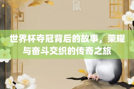 世界杯夺冠背后的故事，荣耀与奋斗交织的传奇之旅