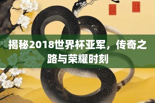 揭秘2018世界杯亚军，传奇之路与荣耀时刻