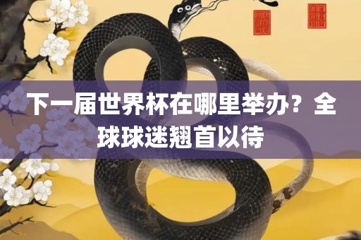 下一届世界杯在哪里举办？全球球迷翘首以待