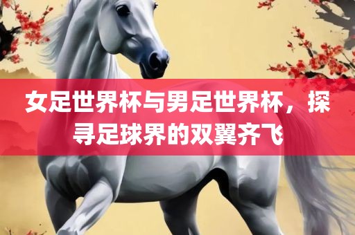 女足世界杯与男足世界杯，探寻足球界的双翼齐飞