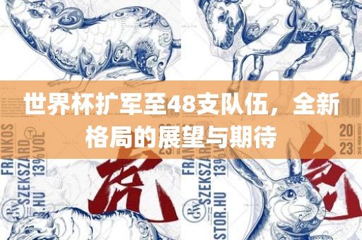 世界杯扩军至48支队伍，全新格局的展望与期待