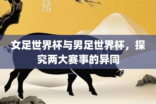 女足世界杯与男足世界杯，探究两大赛事的异同