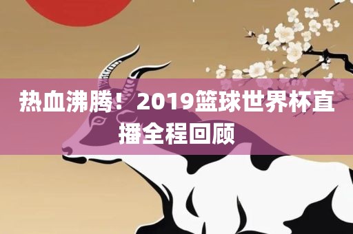 热血沸腾！2019篮球世界杯直播全程回顾