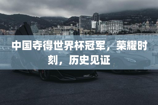 中国夺得世界杯冠军，荣耀时刻，历史见证