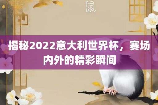 揭秘2022意大利世界杯，赛场内外的精彩瞬间