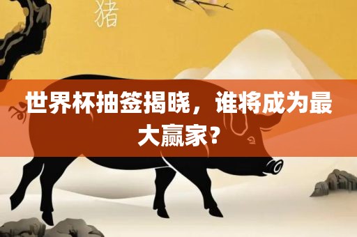 世界杯抽签揭晓，谁将成为最大赢家？