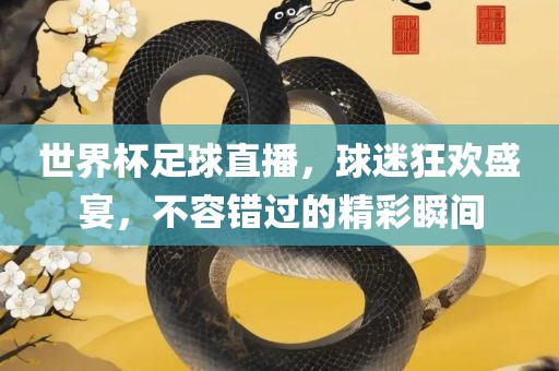 世界杯足球直播，球迷狂欢盛宴，不容错过的精彩瞬间