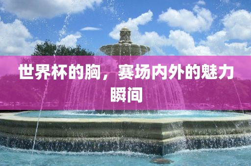 世界杯的胸洛阳市法福文化传播有限公司，赛场内外的魅力瞬间