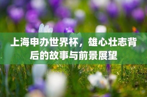 上海申办世界杯，雄心壮志背后的故事与前景展望