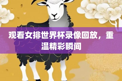 观看女排世界杯录像回放，重温精彩瞬间