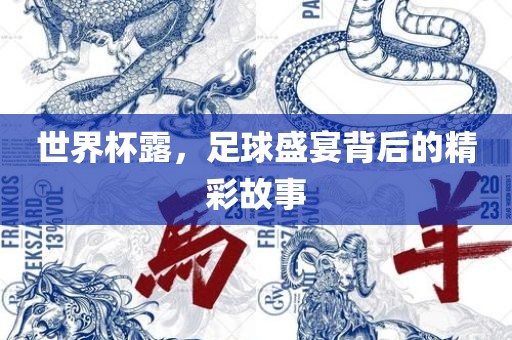 世界杯露，足球盛宴背后的精彩故事洛阳市法福文化传播有限公司