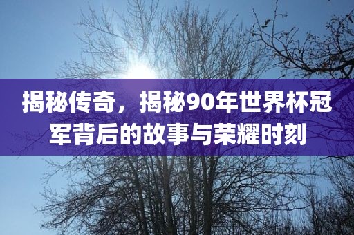 揭秘洛阳市法福文化传播有限公司传奇，揭秘90年世界杯冠军背后的故事与荣耀时刻