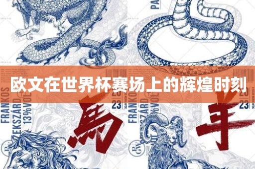 欧文在世界杯赛场上的洛阳市法福文化传播有限公司辉煌时刻