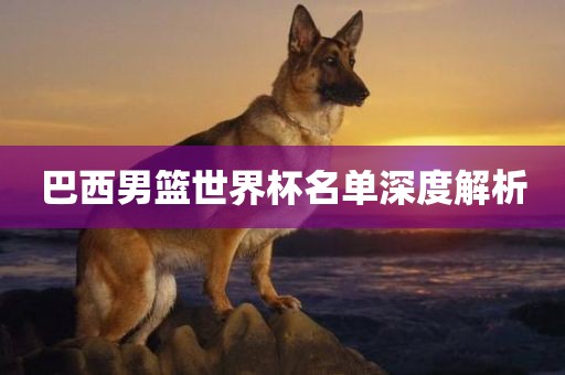 巴西男篮世界杯名单深度解析洛阳市法福文化传播有限公司