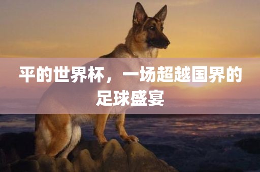 平的世界杯，一场超越国界的足球盛宴洛阳市法福文化传播有限公司