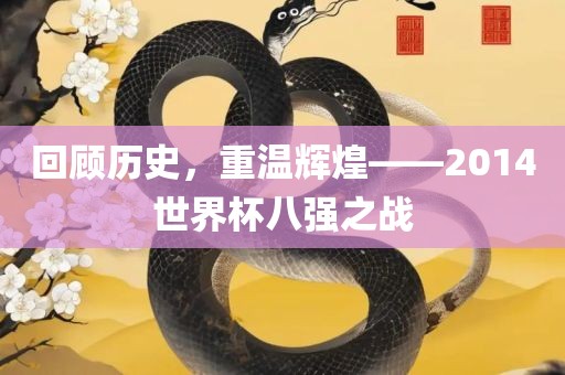 回顾历史，重温辉煌——2014世界杯八强之战洛阳市法福文化传播有限公司