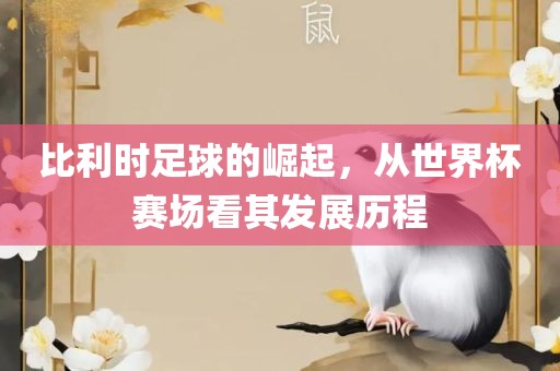 比利时足球的崛起，从世界杯赛场看其发展历程