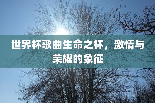 世界杯歌曲生命之杯，激情与荣耀的象征