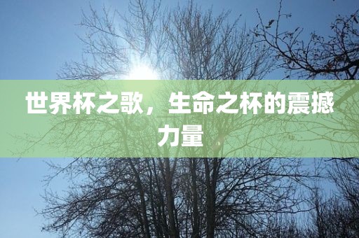 世界杯之歌，生命之杯的震撼力量
