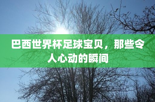 巴西世界杯足球宝贝，那些令人心动的瞬间