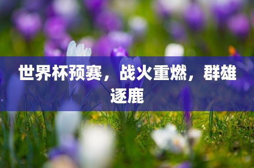 世界杯预赛，战火重燃，群雄逐鹿