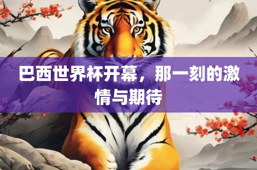 巴西世界杯开幕，那一刻的激情与期待