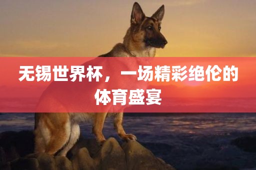 无锡世界杯，一场精彩绝伦的体育盛宴
