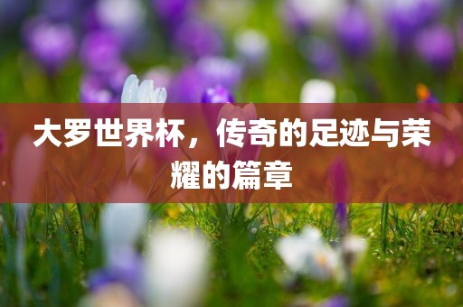 大罗世界杯，传奇的足迹与荣耀的篇章