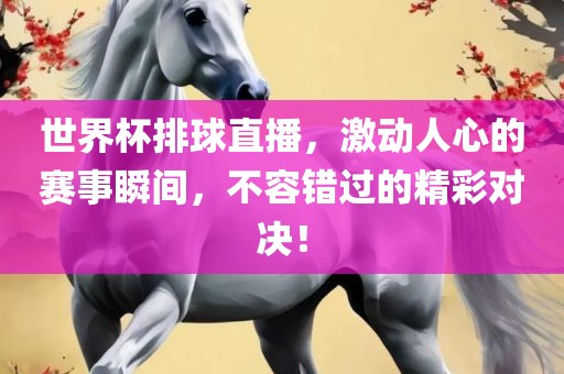 世界杯排球直播，激动人心的赛事瞬间，不容错过的精彩对决！