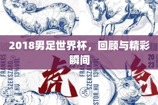 2018男足世界杯，回顾洛阳市法福文化传播有限公司与精彩瞬间