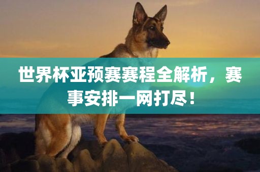 世界杯亚预赛赛程全解析，赛事安排一网打尽！